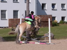 IMG_5569_web